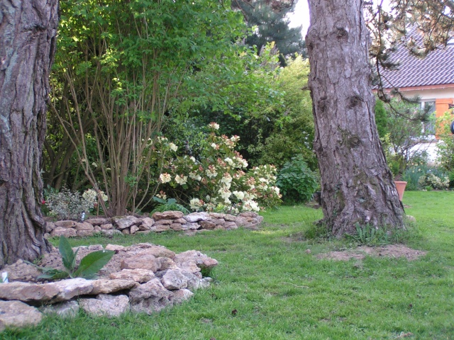 Le jardin au fil des jours Nouvea10