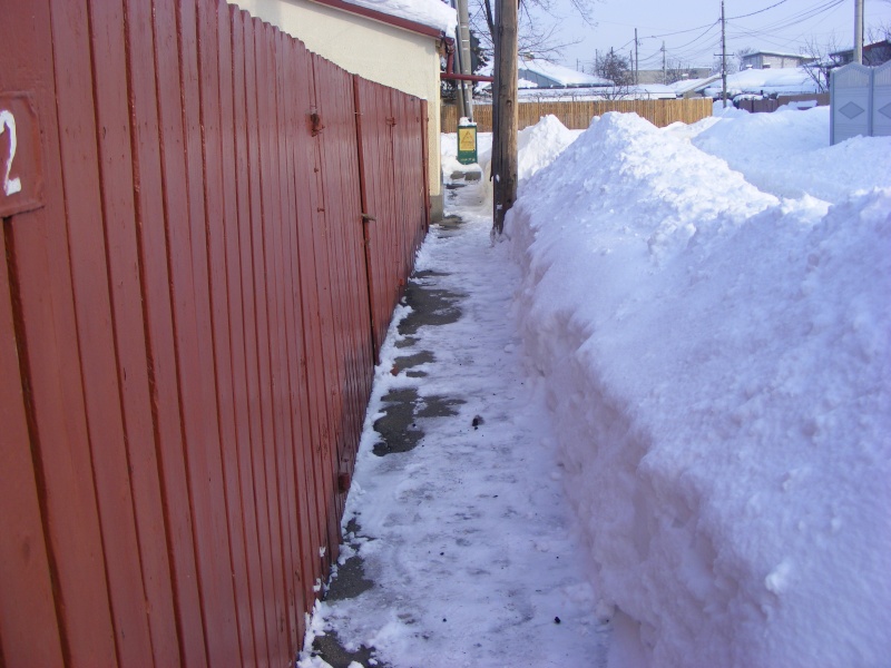 la neige en roumanie (photos de shadock) Dscf6321
