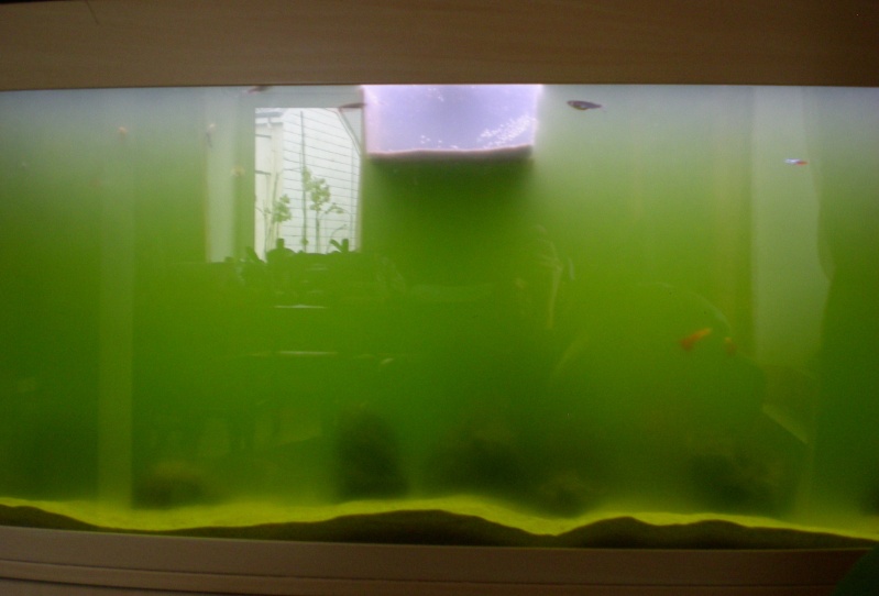 L'eau verte Mercre12