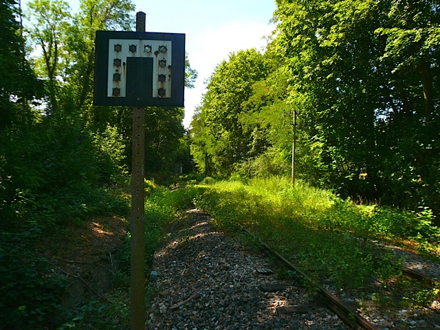 Ligne Moulins-sur-Allier Allier15