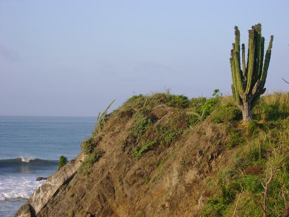 FOTOS- Búsqueda de Oro Natural en las playas de Michoacán, México. 1411