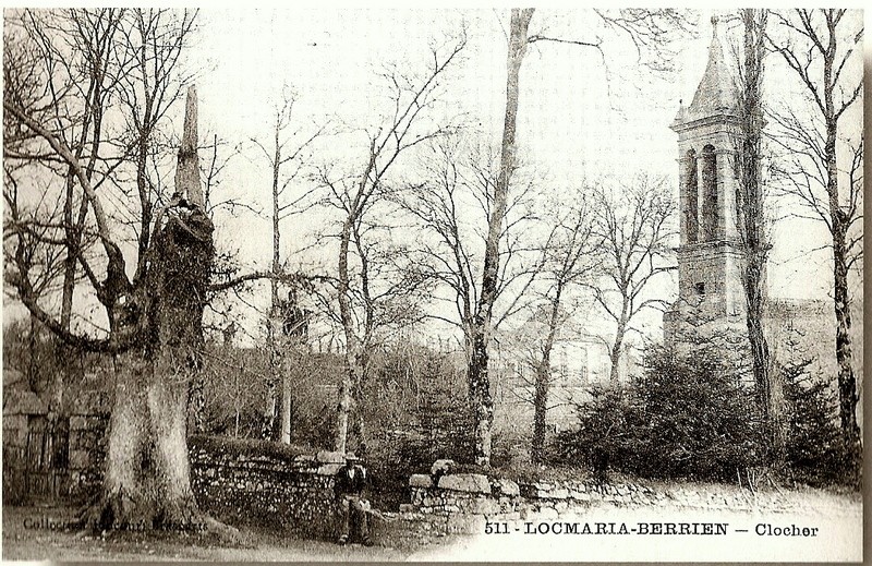 ARBRES REMARQUABLES  de L’ARREE Locmar14