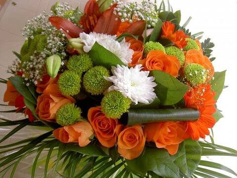 Un Bon Anniversaire A Nicole Si Elle Passe Par La Nous Lire Un Bon Anniversaire A Nicole Si Elle Passe Par La Nous Lire