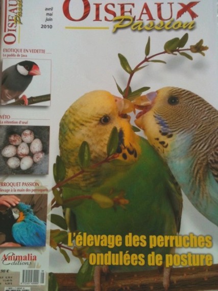 Magazine Oiseaux Passion Mobile33