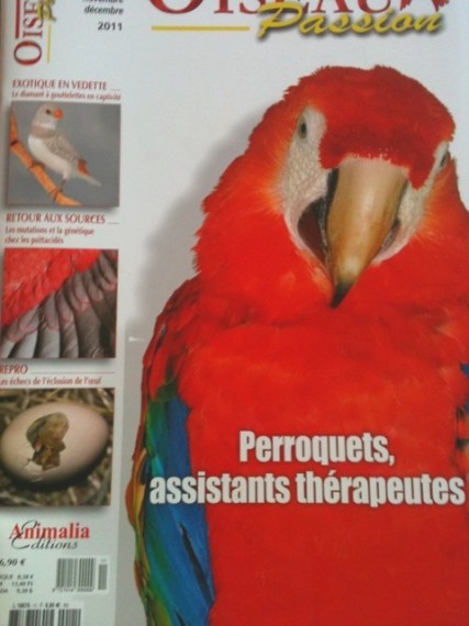 Magazine Oiseaux Passion Mobile34