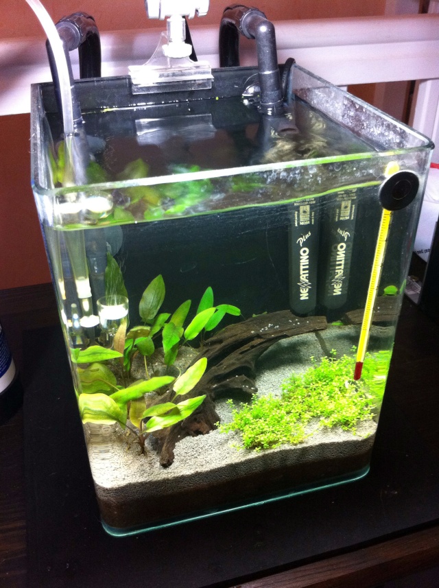 Nano 10L 213