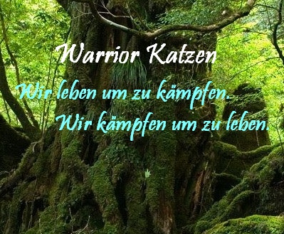 Warrior Katzen Warrio11