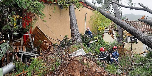 Un arbre s'abat sur la chambre du petit garçon, il s'en sort indemne Actu_i13