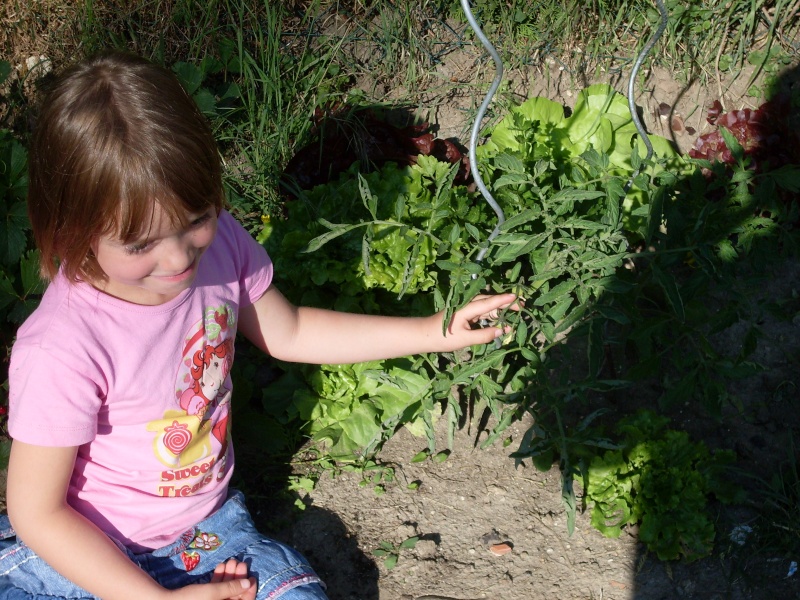 potager de nomie (fille de pancagne) Sdc10910