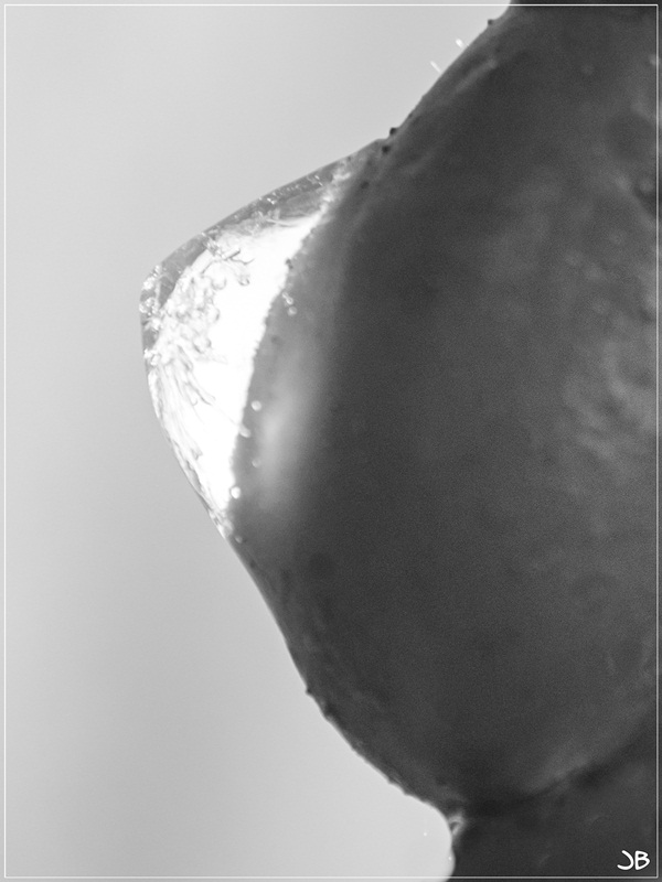 Hommage à Lautner: les seins de glace Lr4-pc10