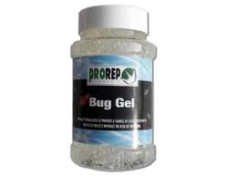 Care and Breeding of Feeders Buggel10