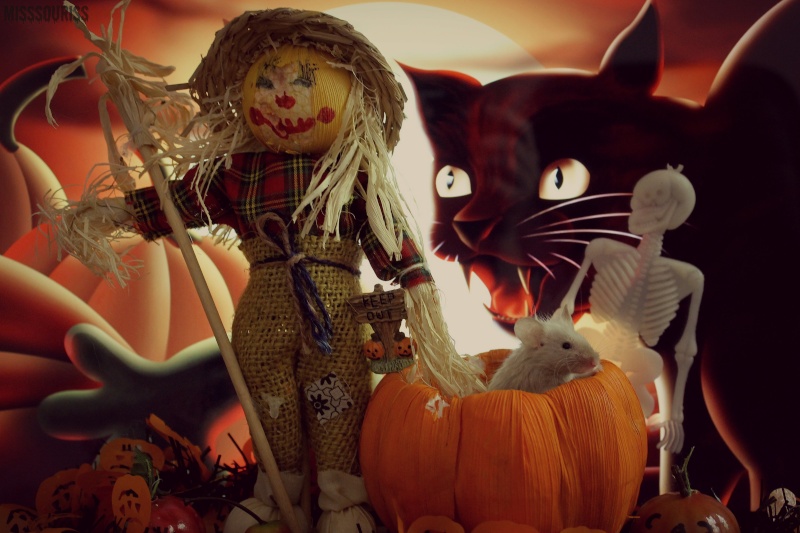 [Octobre 2012] Les souris fêtent Halloween 4_miss13