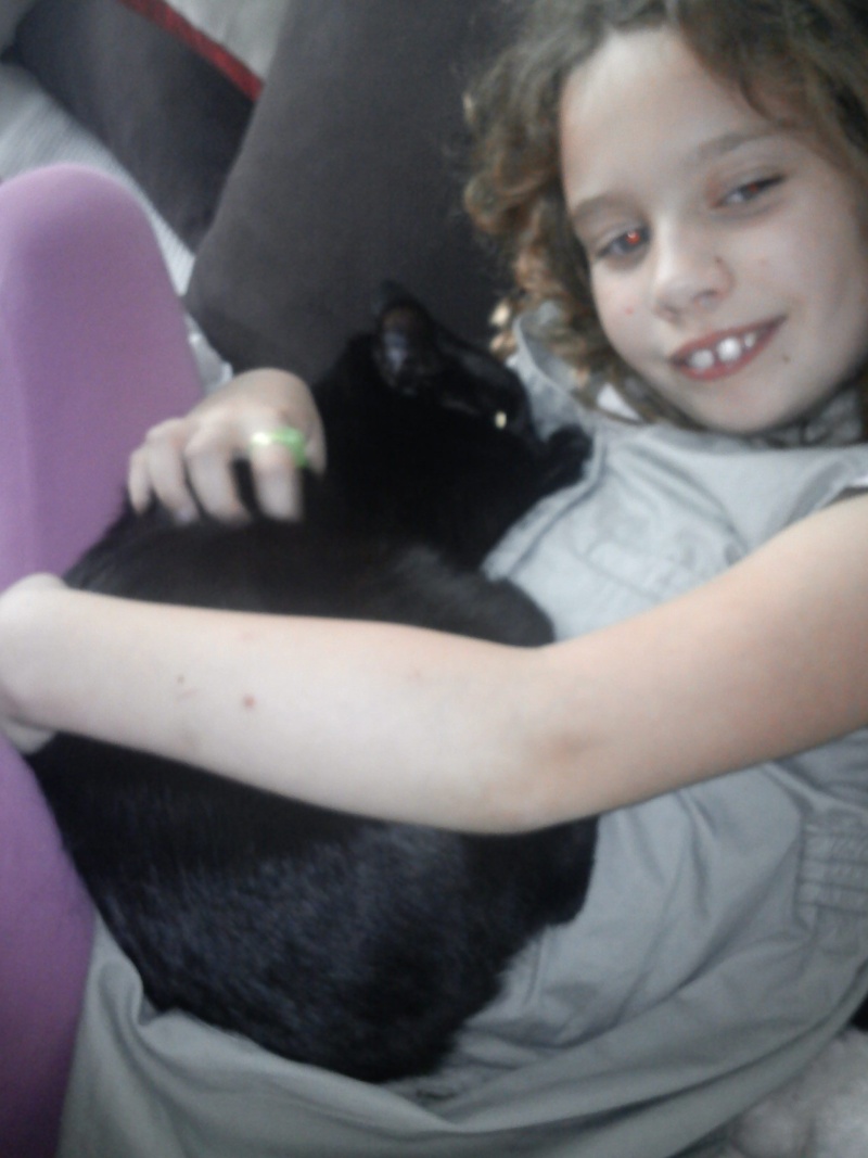 REGLISSE (Gélule), née en 2009, petite chatte noire adorable Dsc00315