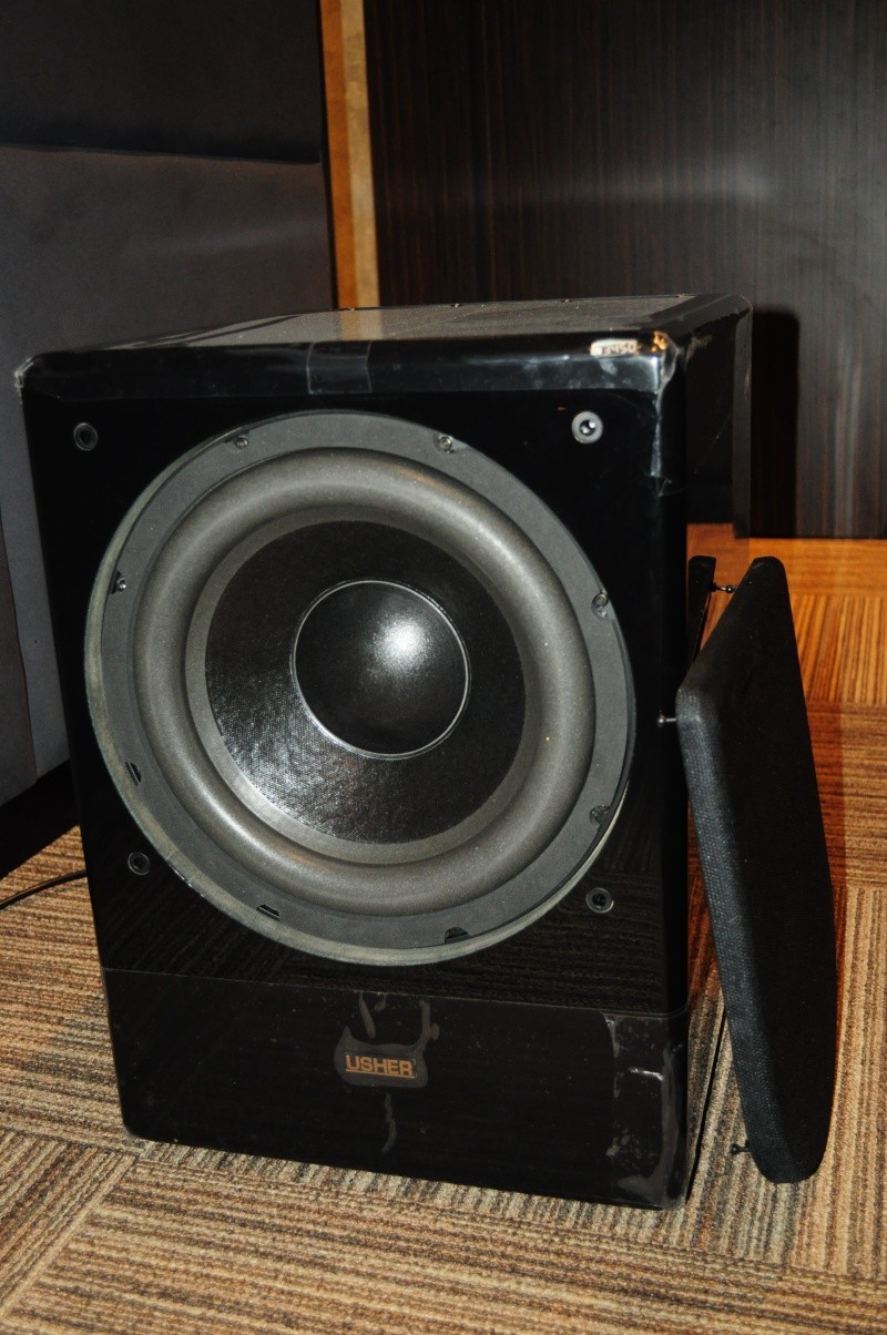 Usher SW-212 Subwoofer (New) Dsc_1512