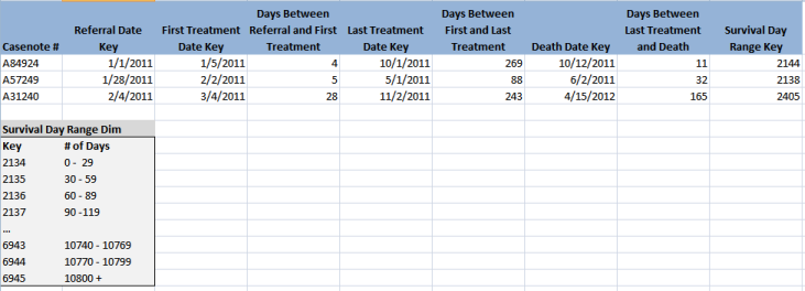 How to represent survival rates in a fact table? Surviv10