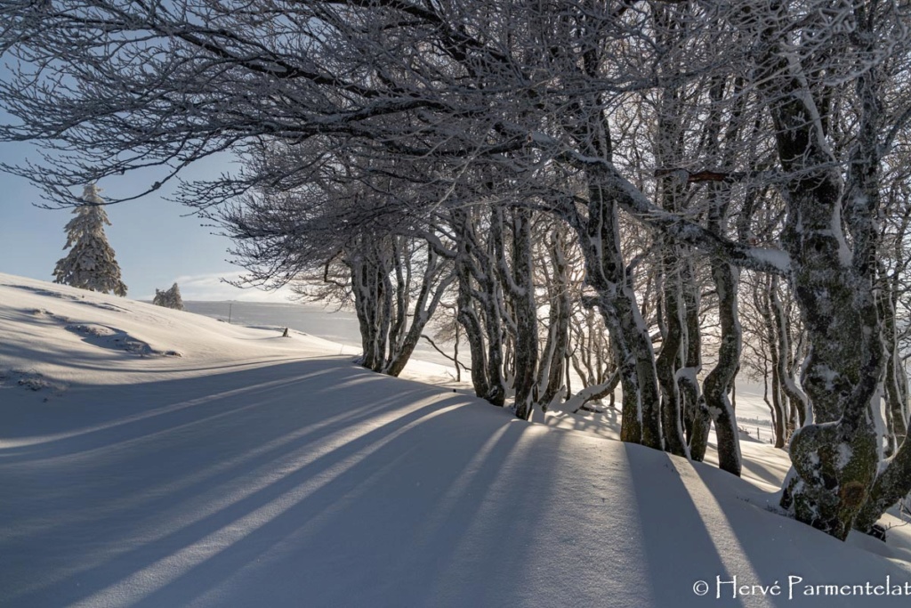 Début d'hiver dans les Vosges Img_2911