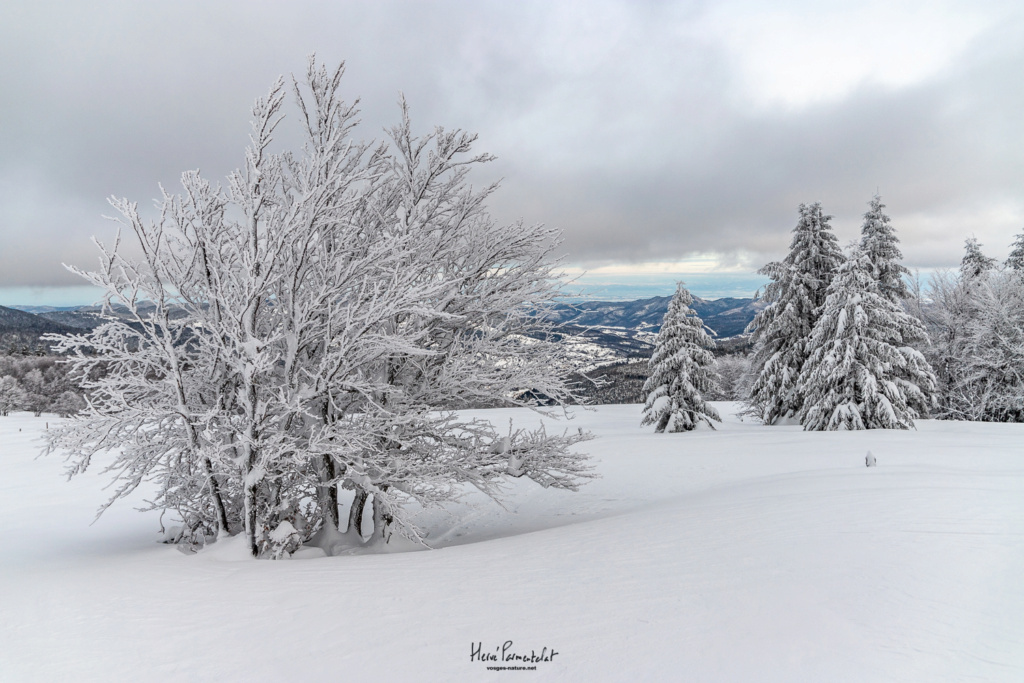 C'est l'hiver, le vrai, dans les Hautes-Vosges - Page 2 Img_7915
