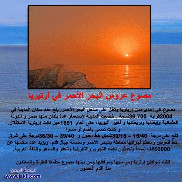 عرائس البحر الأحمر  D2e06611