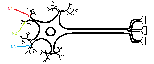 Qu'est-ce que l'algorithme de rétro-propagation du gradient de l'erreur dans un perceptron multi-couche rebouclé sur lui-même ? Neuron11
