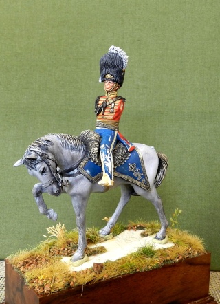 Scots Greys 00717