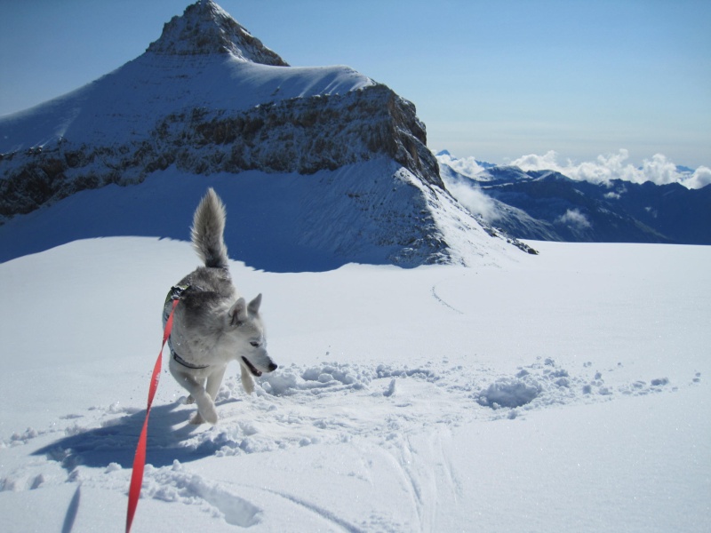 Saskia dans la neige poudreuse de juillet 560