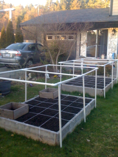 Brand new to SFG! My first efforts... Garden10