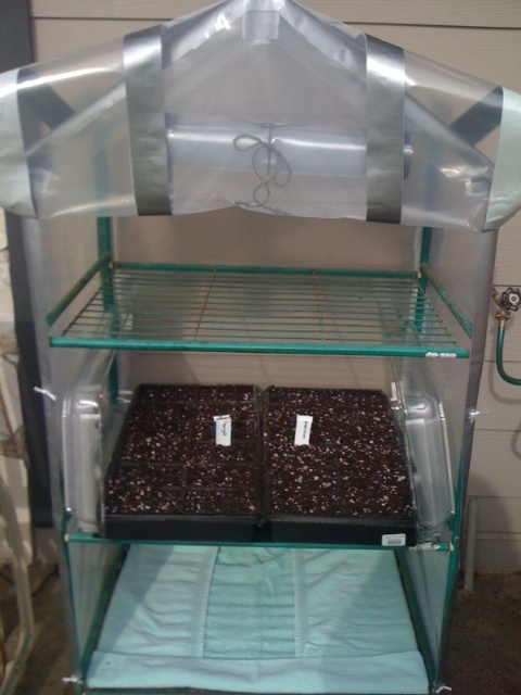 waterbed heating pad for seed starting? Greenh12