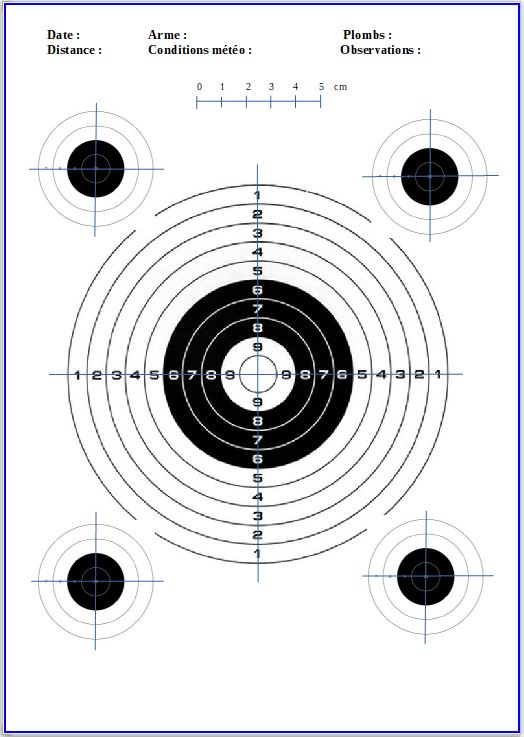 Gamo Compact -  Gamo CFX IGT - Hawke Airmax 3-9x40 AO AMX - Tir à 45m - Page 2 Image_11