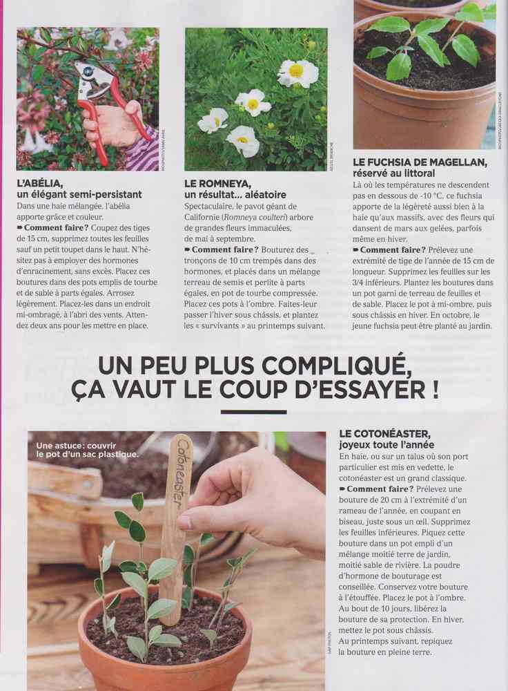 au jardin - Page 8 1415