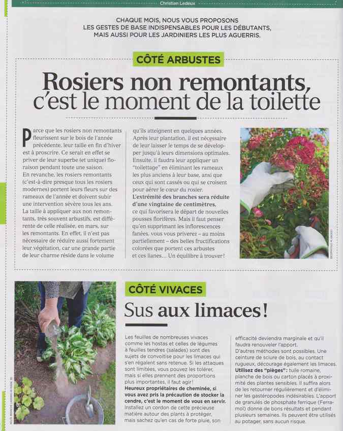 au jardin - Page 6 150