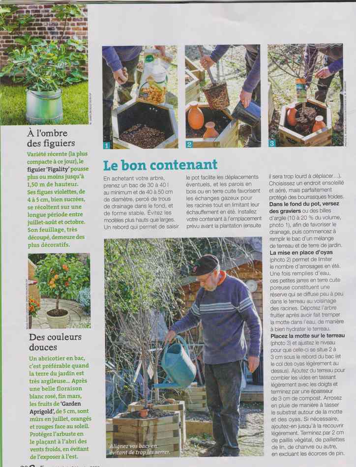 au jardin - Page 22 3113