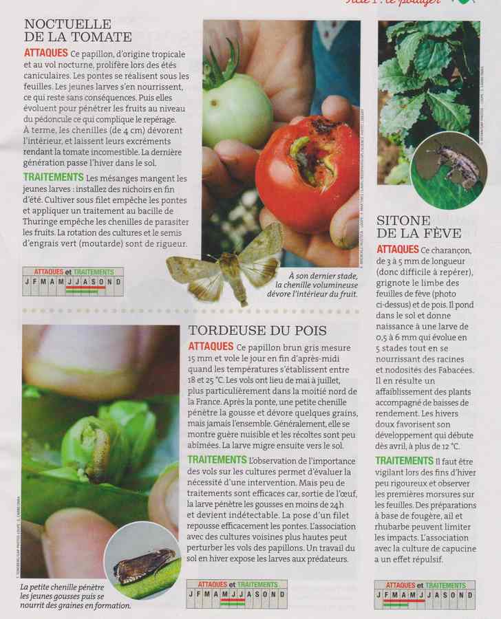 au jardin - Page 6 335