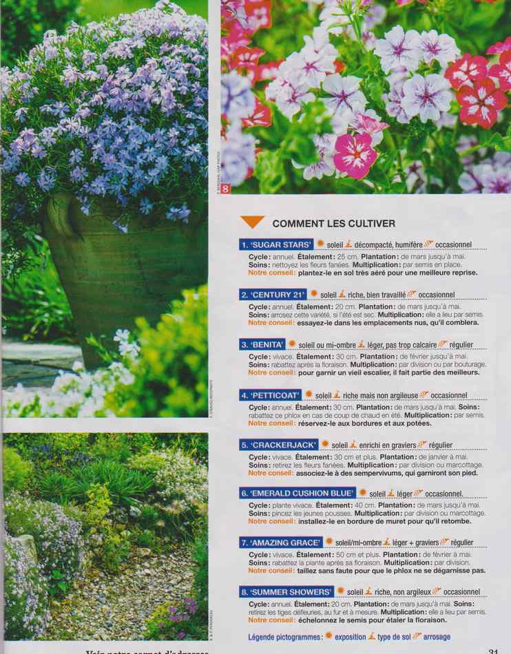 au jardin - Page 25 5411