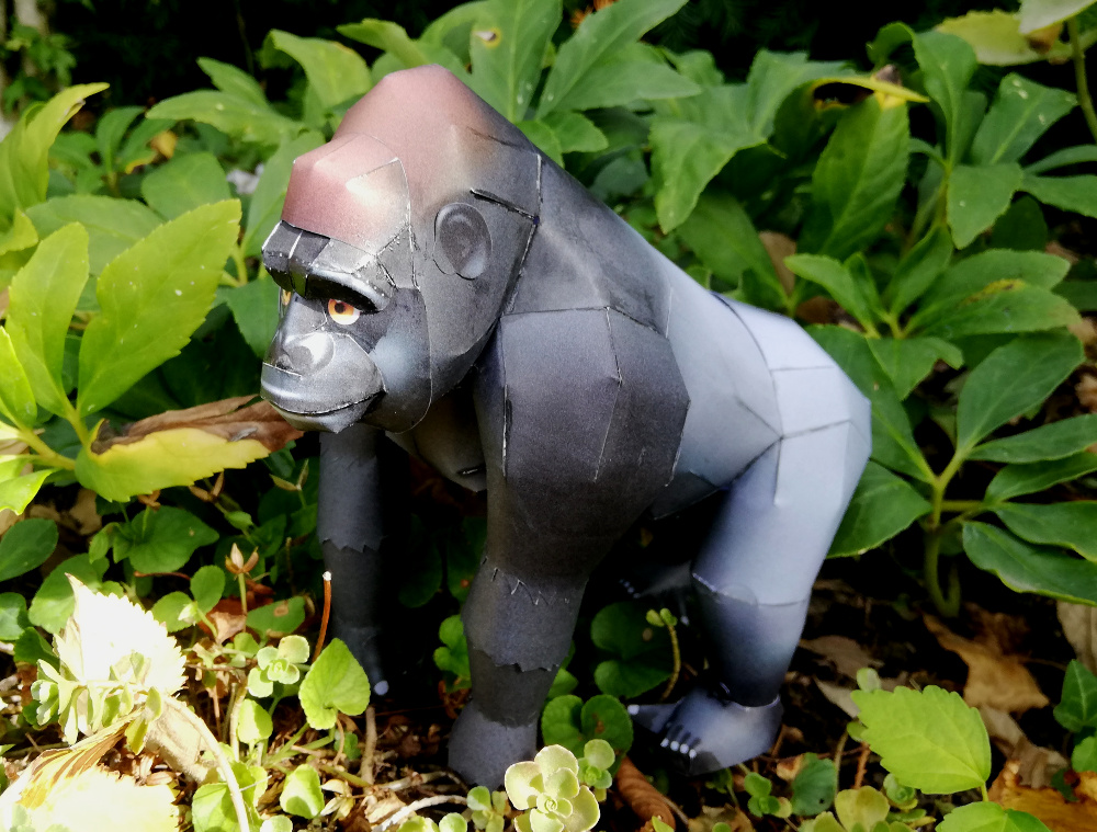 Gorilla von Canon Papercraft gebaut von Millpet Img_2016