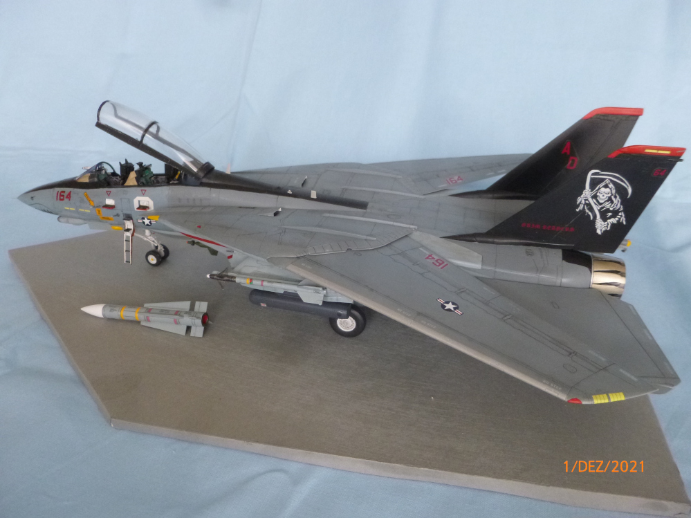 F14D Tomcat 1:48 Tamiya  Galeriebilder P1130917