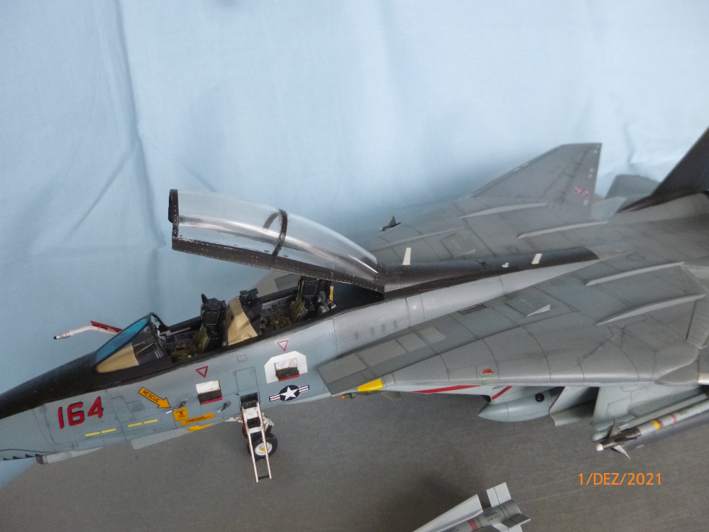 F14D Tomcat 1:48 Tamiya  Galeriebilder P1130918