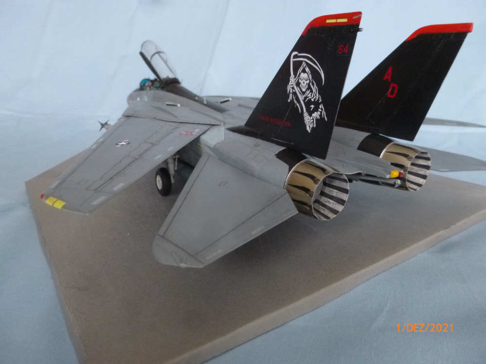 F14D Tomcat 1:48 Tamiya  Galeriebilder P1130919