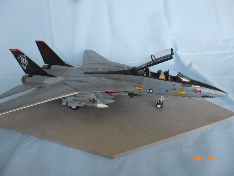 F14D Tomcat 1:48 Tamiya  Galeriebilder P1130931