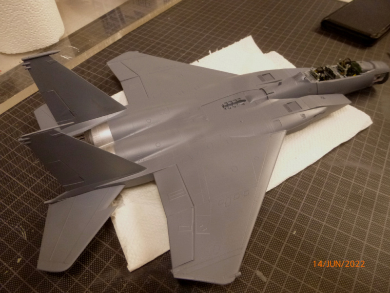 F15E Strike Eagle GWH 1:48 gebaut von Millpet P1140418