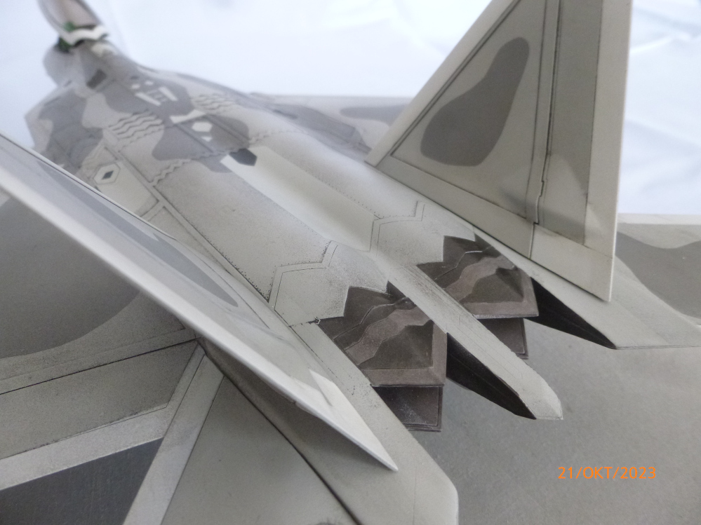 F22 Raptor 1:48 von IloveKit geb. von Millpet Galeriebilder P1140984