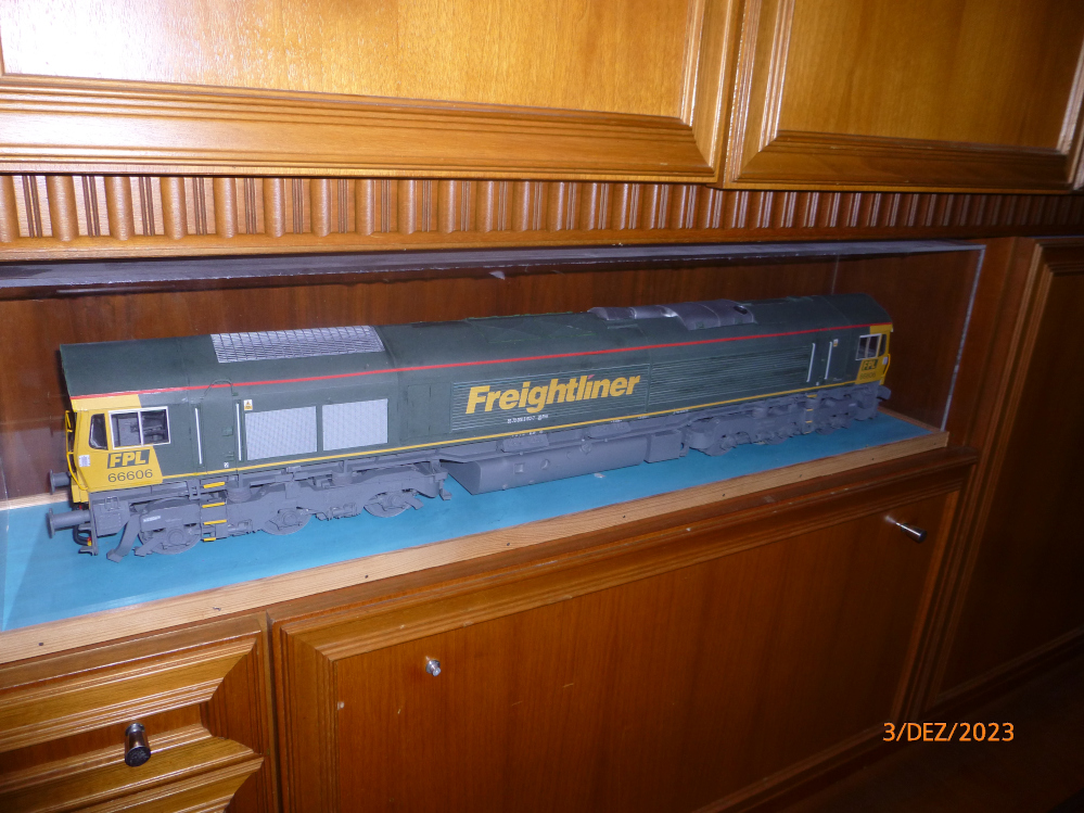 Engl.Diesellok Class66, Freightliner, geb. von Millpet - Seite 8 P1150076