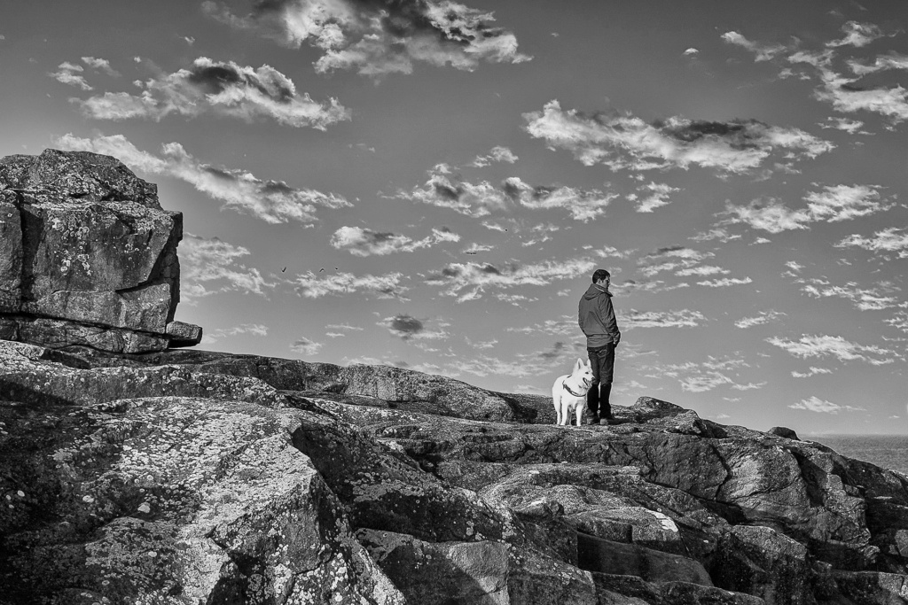 L'homme, le chien et les moutons... _dsc3410