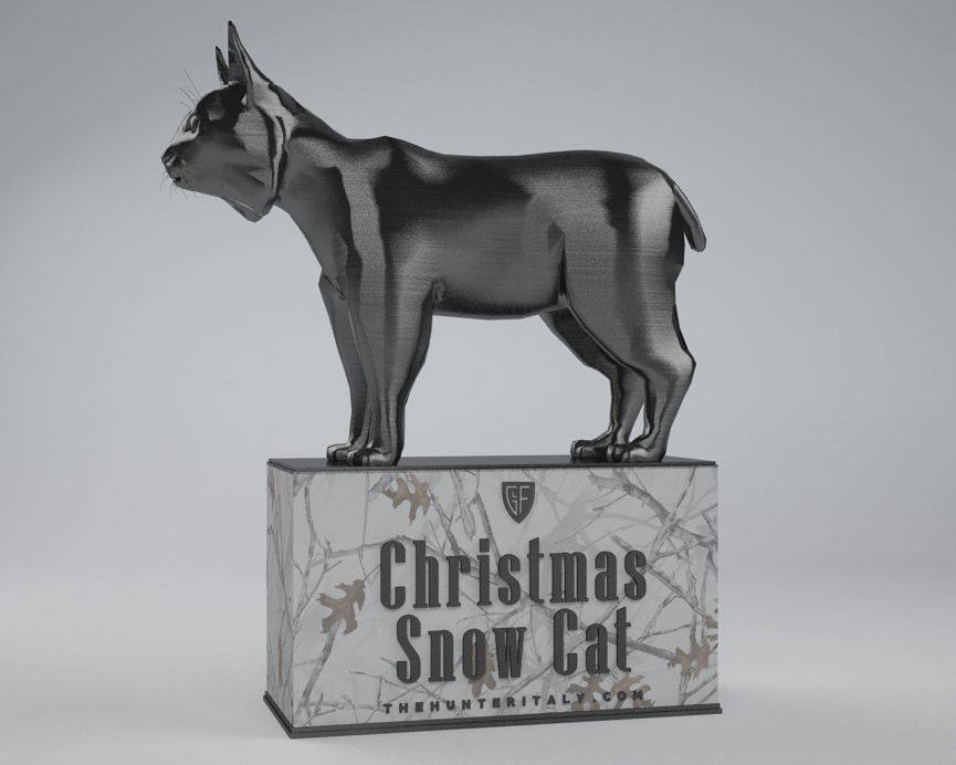 [CONCLUSA] Competizioni Ufficiali theHunterItaly - Fiocchi Christmas Snow Cat - Lince Trofeo14