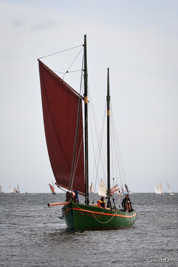 Semaine du Golfe 2019 - Les photos - Page 2 Semgo220