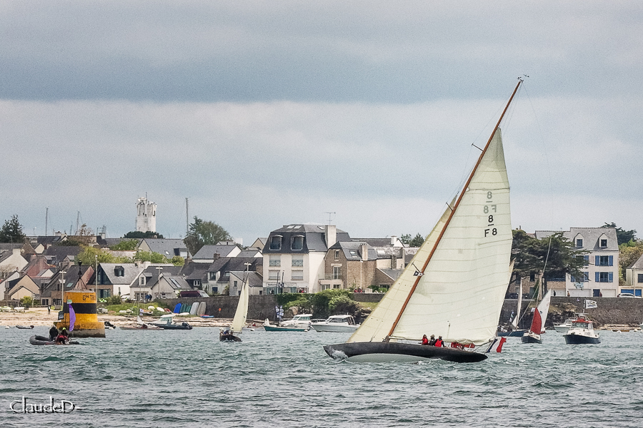 Semaine du Golfe 2023- Quelques photos Semgo710