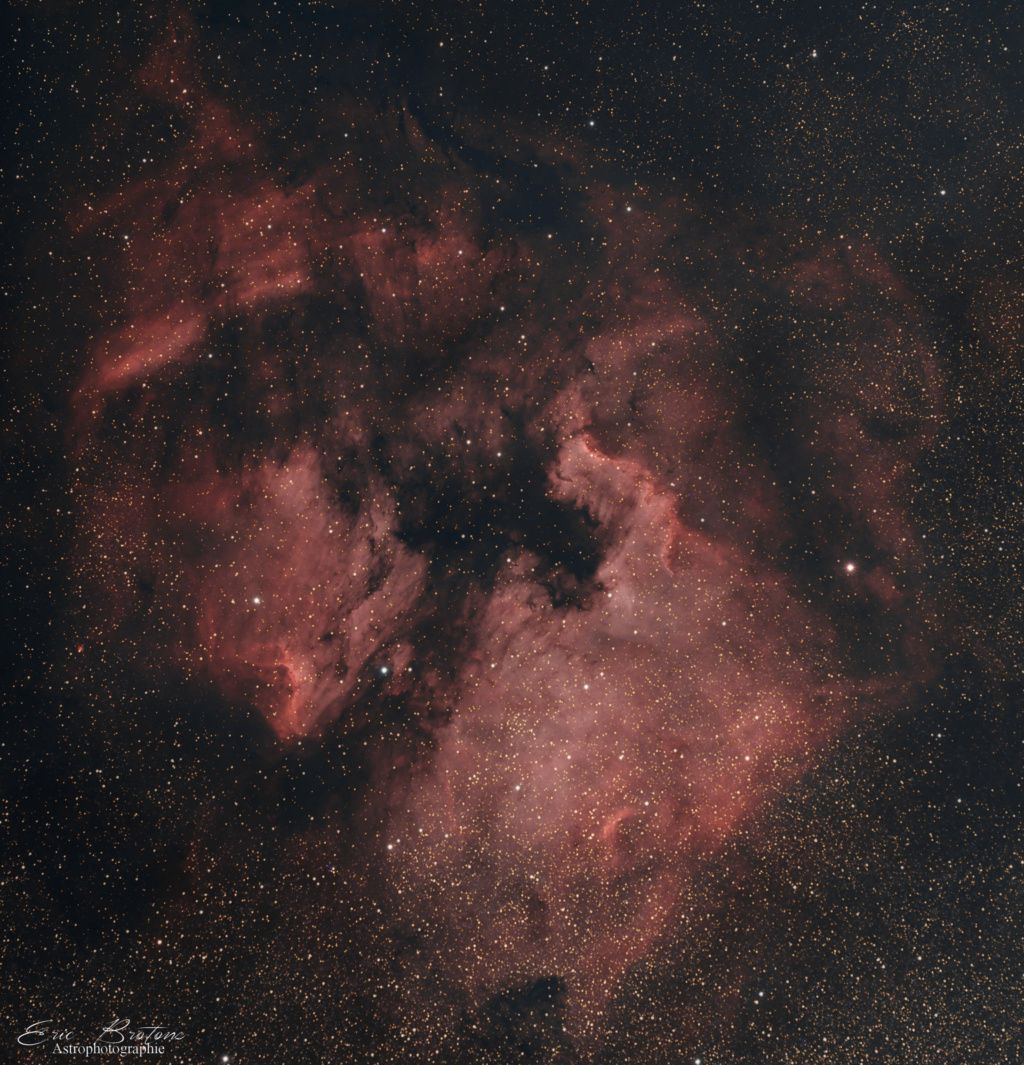 NGC 7000 un petit debut  9-210