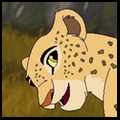 Kito : Golden hearted leopard Square11