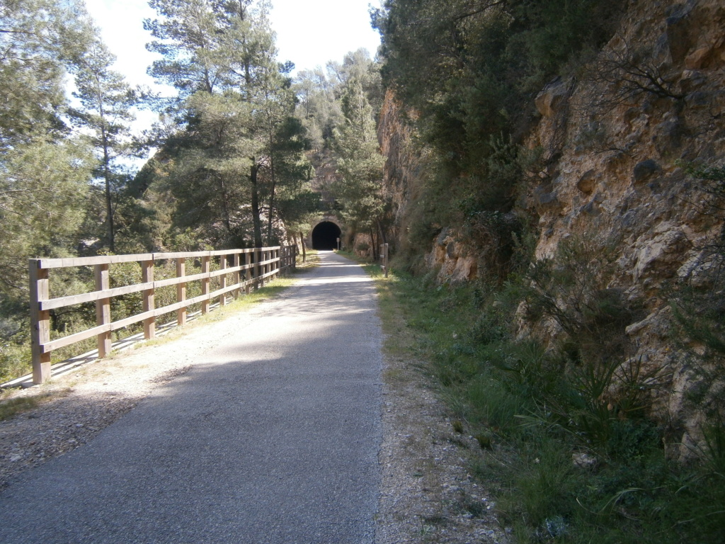 Tortosa - La Pobla de Hijar - Página 2 P5020156