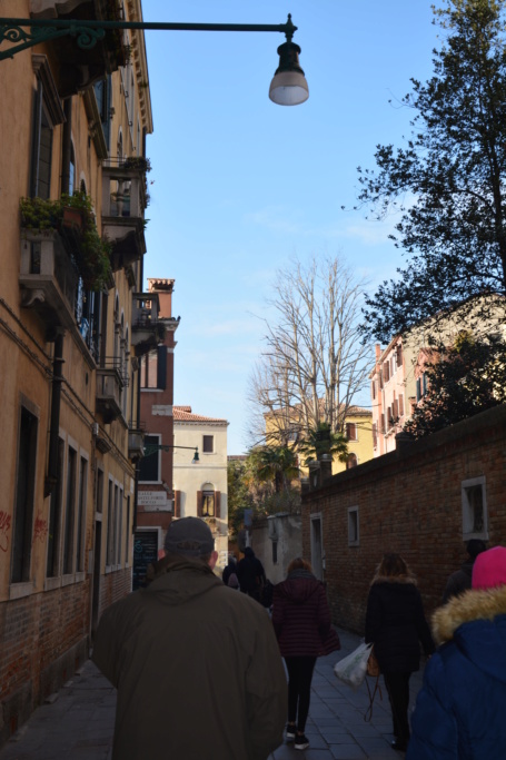 venise 2019 - Page 5 Dsc_0608