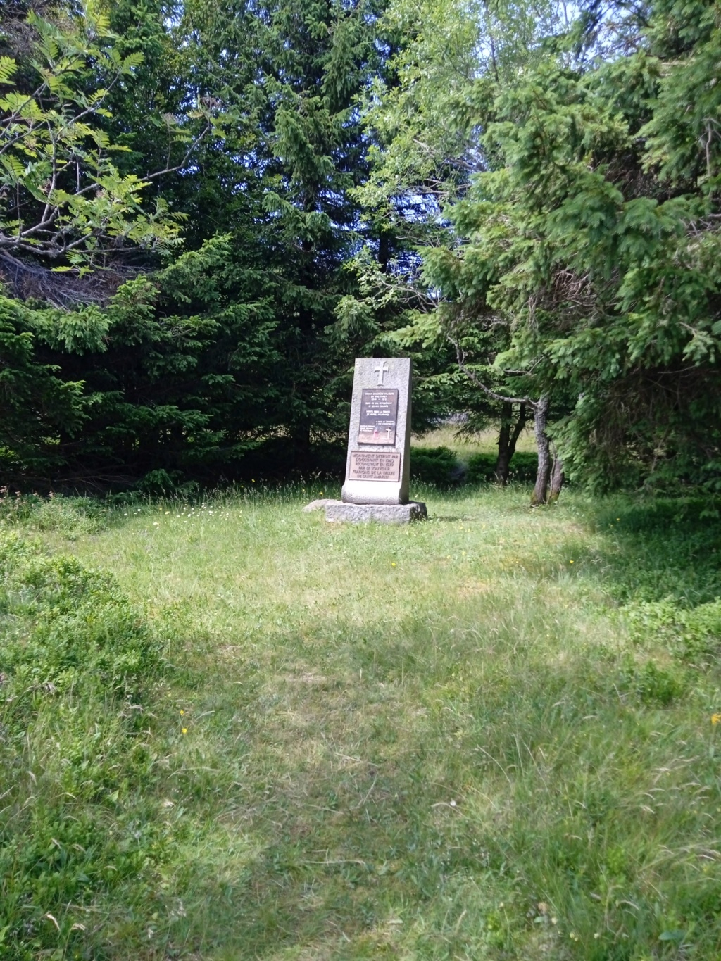 Un beau petit monument aux morts pour 11 soldats ( grand ballon)  Img_2868